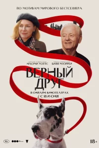 Bepный дрyr
